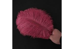 DUORIES Lot de 10 plumes d'autruche naturelles de 25 à 30 cm Plumes pour loisirs créatifs Pour attrape-rêves Accessoire de décoration de la maison Costume Décoration de table de mariage Fête Chapeaux Bordeaux