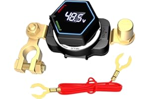 BOAK Top Post Battery Isolator Switch with Voltmeter, DC 5-60V Master Isolator On Off Kill Switch Power Cut/Shut Off Switch for Marine Boat RV Car Truck Camper Trailer