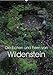 Produktbild Die Eichen und Feen von Wildenstein (Wandkalender 2019 DIN A2 hoch): Ein Eichenwitwald im Lauf der Jahreszeiten und seine seltsamen Feen (Monatskalender, 14 Seiten ) (CALVENDO Natur)