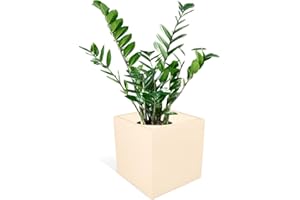 KLORIS CUBICO Jardinera Cuadrada ELLENICO 45 Polietileno Col. Crema Toda Capacidad cm 45x45 Altura y Profundidad cm 45