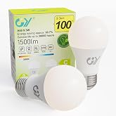 GY 9.3W LED Bulbs E27 Warm Light 3000K 1500LM, Non-Dimmable &ndash; Class C Bulb Low Consumption, A60 Bulb E27 Cap Pack of 2