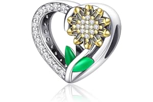 Symretie Charms Beads 925 Sterling Silver for Pandora Bracelet, Dangle Pendant Charms for Necklace and Bracelet Jewelry Gifts for Women.X1