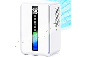 JERVAMNI Deumidificatore Casa Silenzioso, 2500ML Deumidificatore Portatile con Spegnimento Automatico e Sbrinamento Automatico, 3 Livelli, Timer da 48 Ore, Luci Colorate, Basso Consumo