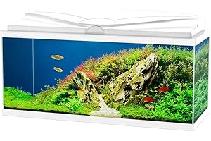 Ciano Aquarium Acquario Aqua 80 Bianco Completo 71lt 80x30xh41,5cm
