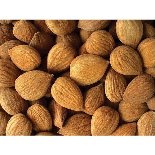 Preisvergleich Produktbild Aprikosenkerne bitter, Handverlesen, Wildwuchs, 1Kg