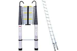 DICN Loft Ladder Telescopic Ladder 6.2M Multi-Purpose Folding Aluminium Telescoping Ladder Extendable Portable Ladder with Hook Daily Emergency Step Ladder with EN131 and CE Standard (20.5FT/6.2M, Sliver)