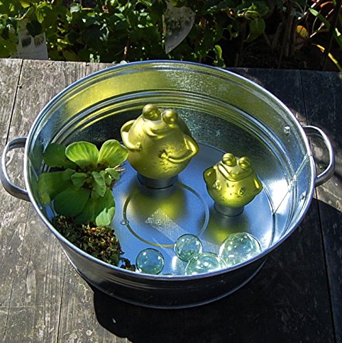 Miniteich mit Zinkwanne Glasschwimmkugeln Schwimmfrosch und Wasserpflanzen - 5