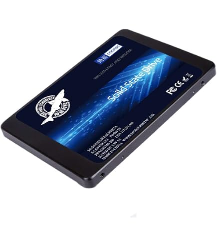 KingShark SSD 60 GB, 2,5" SATA3 Interne Festplatte – Bis Zu 550 MB/s Lesen, Für Desktop & Laptop