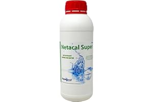 DIASA INDUSTRIAL Netacal Super | Détartrant Super Concentré pour Piscines | Idéal pour Piscine Polyester et Fibre de Verre 1L