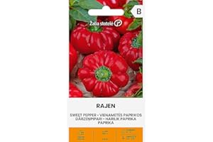 ŽALIA STOTELĖ Zalia stotele | PIMIENTA - RAJEN H Semillas | Semillas de Hortalizas | semillas de pimiento | semillas de plantas | semillas de jardín | 1 paquete