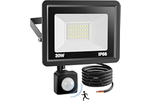 YAMYONE Reflektory zewnętrzne 30 W z czujnikiem ruchu, 2700 lm reflektor punktowy zewnętrzny wodoodporny PIR IP66, 6500K naturalne białe światło do oświetlenia magazynu, placu zabaw, ogrodu (30 W)