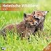 Heimische Wildtiere 30 x 30 cm 2017 by Ackermann Kunstverlag