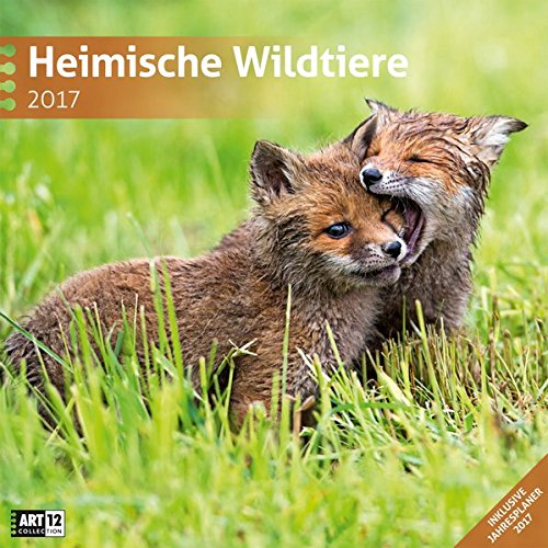 Heimische Wildtiere 30 x 30 cm 2017