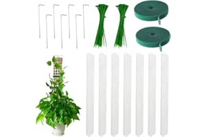 NAVESO Tuteur Monstera 60cm, 7 Pièces 24in Tuteur Plante Grimpante Transparent, Tuteur Sphaigne Monstera Empilable, Tuteur Sphaigne Plante Interieur pour Les Aides à lescalade des Plantes
