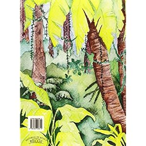 Stradivari - Violín 1