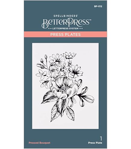 Spellbinders Buffalo Plaid Press Plate - Piastra Per Stampa Tipografica Da 11,4x14,6 Cm (Cheers To You Collection)