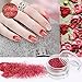 VALUE MAKERS 12 Color Nail and Eyeshadow Glitter Dust Powder Tip-Nail Art Decoration Set-Suitable for Nail,Face,Body,Eyeshadow Makeup