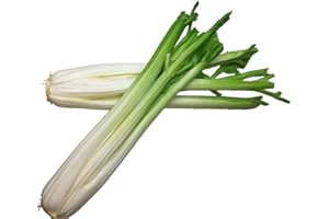 Lorigun Sedano, verdure artificiali, verdure finte verdi per la decorazione, decorazioni per la casa Esposizione di mercato Decorazione di cucina Bastoncino di sedano 2Pcs