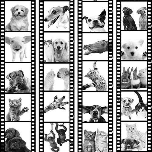 murando Papel Pintado PURO 10m Fotomurales tejido no tejido rollo Decoración de Pared decorativos Murales XXL moderna de Diseno Fotográfico Animal Gato Perro Caballo Cerdo Conejo g-C-0026-j-d