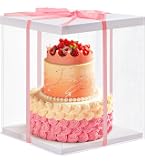 Grande Boîte à Gâteau Transparente 25,4 Cm – Avec Couvercle & Ruban Blanc, Idéale Anniversaire Mariage Fête
