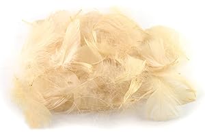 ‎CREATIVERY 5g Gänsefedern ca. 7-12cm (champagner 815) // Gänseflaum Gänsedaunen Federn Bastelfedern Dekofedern Deko Natur