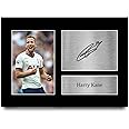 HWC Trading Harry Kane Gift Signed A4 Printed Autograph Tottenham Gifts Hotspur Spurs Photo Display