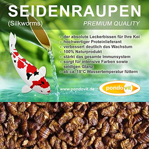 Seidenraupenpuppen pondovit – Premiumsnack 2400 ml – Koi Leckerbissen - 2