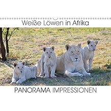 Suchergebnis Auf Amazonde Für Panorama Kalender Afrika - 
