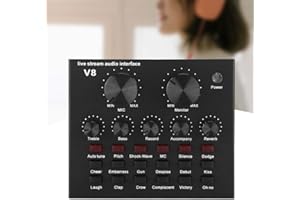 Wendry Carte Son, Carte de Changement de Voix, 112 Types de Carte Son Externe en Direct Audio V8 Audio électro-Acoustique, Diffusion en Direct d'ordinateur Bluetooth de deuxième génération