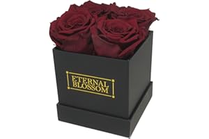 Eternal Blossom 4 Piece Preserved Real Infinity Rose Box | Lasts Over A Year | Black Box | With Gift Box (Rouge Red)