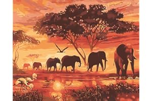 WOWDECOR DIY Malen nach Zahlen für Erwachsene Kinder Mädchen, Dämmerung Wald Elefant Familie 40x50 cm Vorgedruckt Leinwand-Ölgemälde (mit Rahmen)