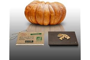 LE GRENIER D'ABONDANCE LES GRAINES QUI DONNENT ENVIE 10 graines Bio à semer - Le Grenier d'Abondance - COURGE MUSQUEE DE PROVENCE - Certifié AB - Curcurbita maxima