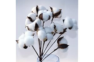 LATRAT - Lote de 10 flores de algodón artificial de algodón, rama decorativa, natural, falsas ramas, algodón, plantas falsas, decoración para balcón, casa, mesa, composición floral