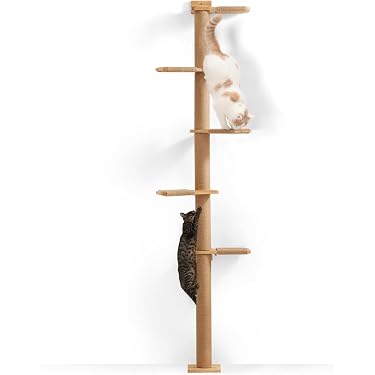 katzenstreu granulat Crystal Clean – Katzenstreu mit Gesundheitsindikator