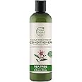 Petal Fresh Pure Scalp Treatment Tea Tree Conditioner | For Itchy & Dry Scalp, Anti Dandruff | No Sulphate, Silicones, Paraben Free | 100% Vegan & Cruelty Free - 355 ml