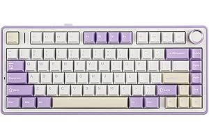 ‎EPOMAKER Epomaker x Aula F75 Bezprzewodowa klawiatura mechaniczna 75% z uszczelką, wymiennymi przełącznikami (LEOBOG Reaper), tłumieniem i pokrętłem, Bluetooth/2.4 GHz/USB-C, podświetlenie RGB (fioletowa)