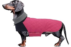 Geyecete Dachshund Winter Coat - Warm, Waterproof, Windproof Jacket With High Neckline String Holes for Small Dogs - Pink - M