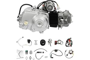 WSIKGHU 125CC 4 Takt ATV Motor Kart-Einzylindermotor Liegend, Luftgekühlter Elektrostarter, CDI-Zündung, 3-Gang vorwärts mit Rückwärtsgang, inkl. Verkabelung + Luftfilter + Kettenkasten