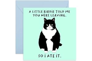 Central 23 - Zabawna karta przejścia na emeryturę - 'A Little Birdie…You Were Leaving' - prezenty dla współpracownika - karta pożegnalna - 'Fun Good Luck We will Miss you for Colleagues' - W zestawie