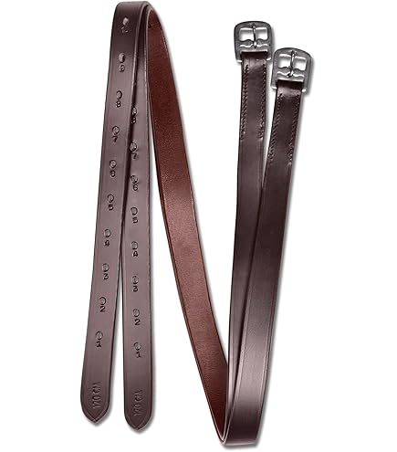 QHP Lupine Leather Head Collar - Elite Equestrian