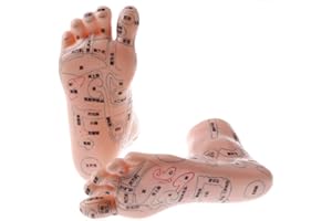 Tubayia Lot de 2 pieds de massage humain, modèle d'acupuncture, réflexologie pour l'école, matériel d'enseignement, objets de collection.