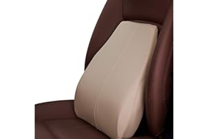 Ergocar Memory-Schaum Nackenkissen & Lendenkissen PU-Leder Rückenstützkissen Zur Rückenentlastung für Zuhause Büro Auto und Reise (Beige, Lendenkissen)
