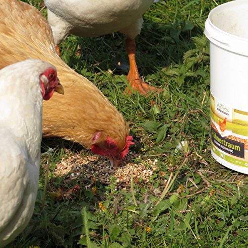 AniForte Hühnertraum Gesunde Belohnung 2,5 kg – Naturprodukt für Hühner - 3