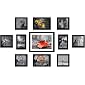 Amazon Brand - Solimo Collage Set of 11 Black Photo Frames ( 4 x 6 Inch - 2 & 5 X 5 Inch - 6, 5 X 7 inch - 2 & 8 X 10…