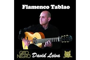 Cuerdas Guitarra Clásica Flamenco Tablao Gato Negro David Leiva
