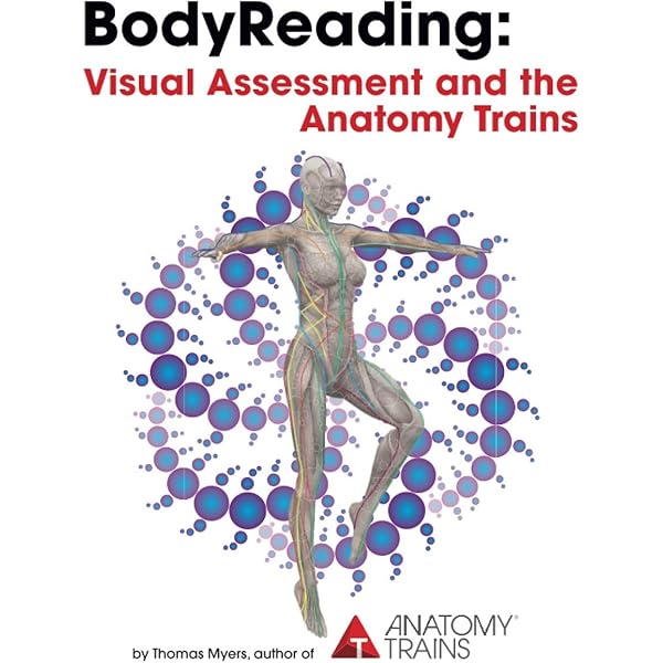 Anatomy Trains: Myofascial Meridians for Manual Therapists