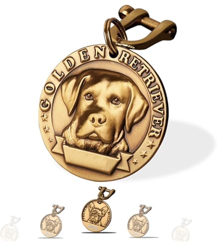 Medaglietta Cane Border Collie - Acciaio Inox, Incisione Laser, Personalizzabile