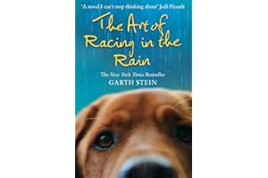 Art Of Racing In The Rain: A Novel