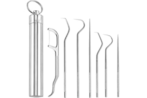 TAOBOSEC Cure Dents, 7 Piece Stainless Steel 304 Toothpick Set En Acier Inoxydable Kit Portable Metal Floss Kits De Soins Dentaires Storage Bucket Set Cure Dent Metal Tooth Flossing Cure-Dents Assortis