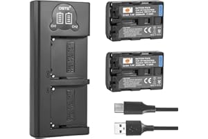 DSTE ELECTRON DSTE NP-FM50 Ersatzakku (2er Pack) und Smart LED Dual USB-Ladegerät Kompatibel mit Sony CCD-TRV108, CCD-TRV116, CCD-TRV118, CCD-TRV126, CCD-TRV128, CCD-CCD-TRV138, CCD-TRV208, CCD-TRV308
